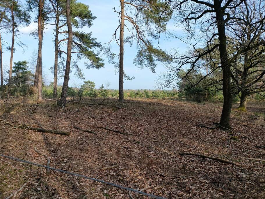 Kindvriendelijke Bungalow In Het Bos Bij Zwemmeer. Vilsteren Luaran gambar