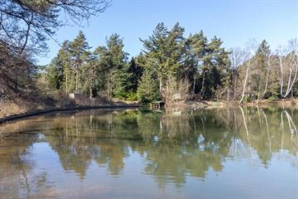 Kindvriendelijke Bungalow In Het Bos Bij Zwemmeer. Vilsteren Luaran gambar