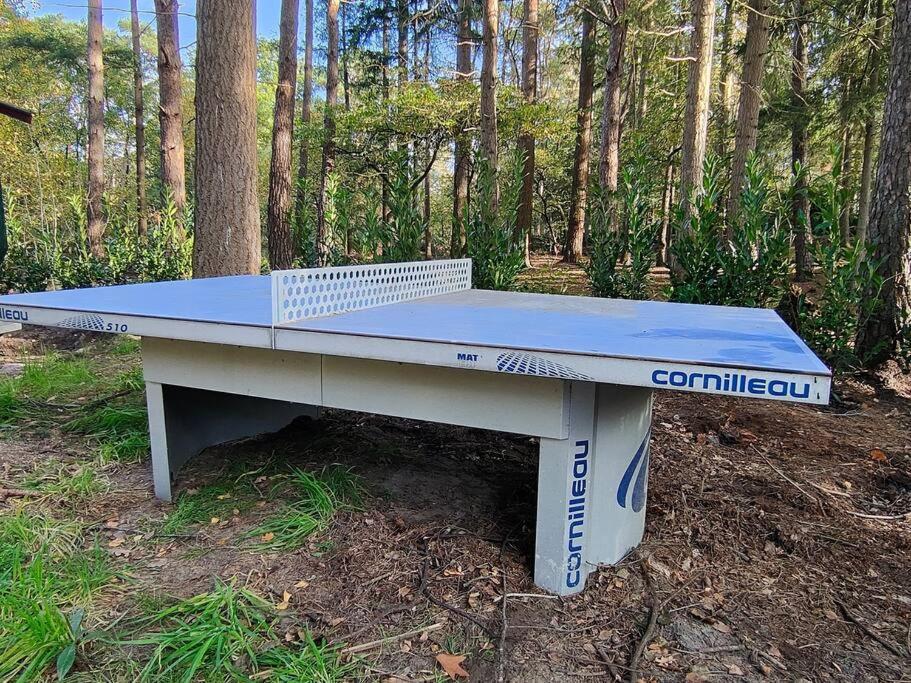 Kindvriendelijke Bungalow In Het Bos Bij Zwemmeer. Vilsteren Luaran gambar