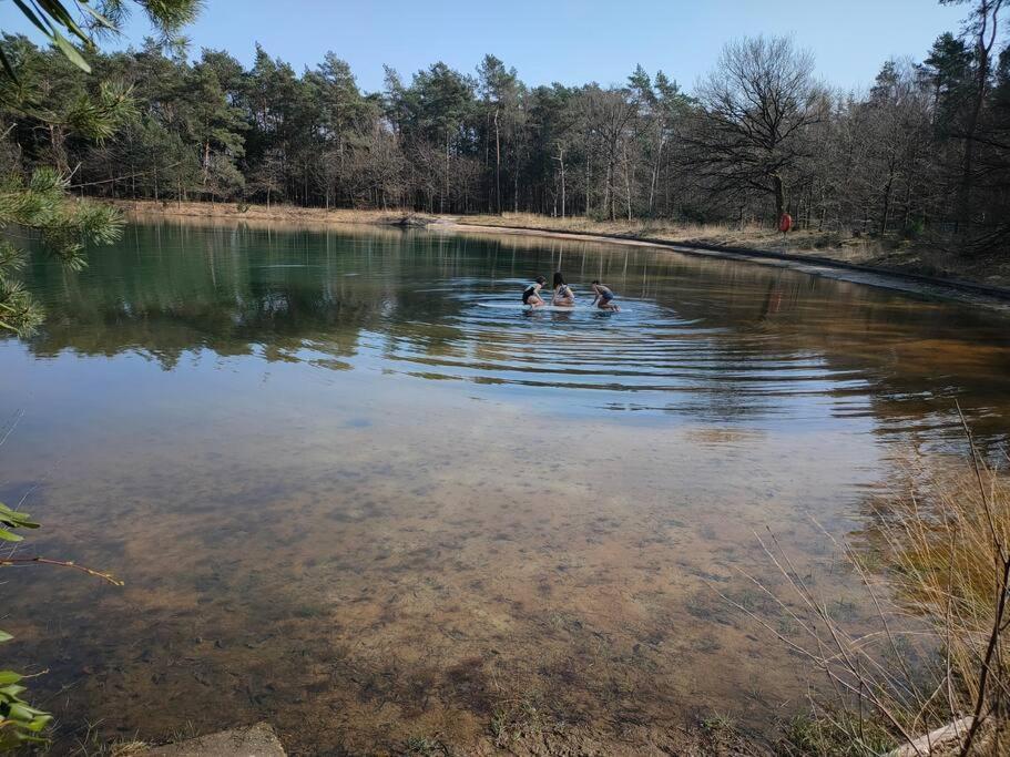 Kindvriendelijke Bungalow In Het Bos Bij Zwemmeer. Vilsteren Luaran gambar