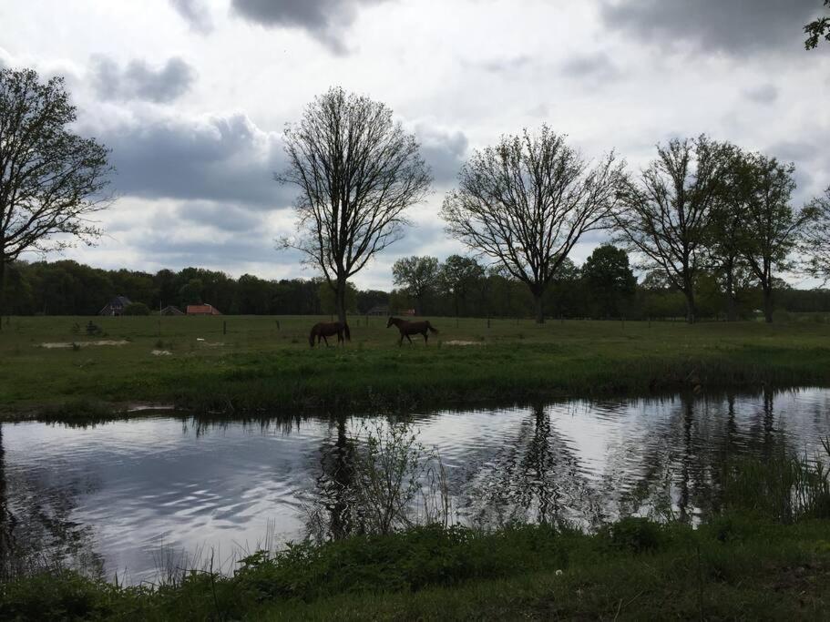 Kindvriendelijke Bungalow In Het Bos Bij Zwemmeer. Vilsteren Luaran gambar